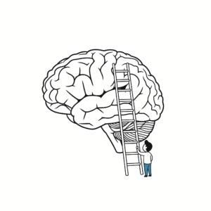 An illustration of a figure climbing a ladder up the brain, symbolising the journey of using the triune brain and emotional regulation to move from a survival state to a thinking state.